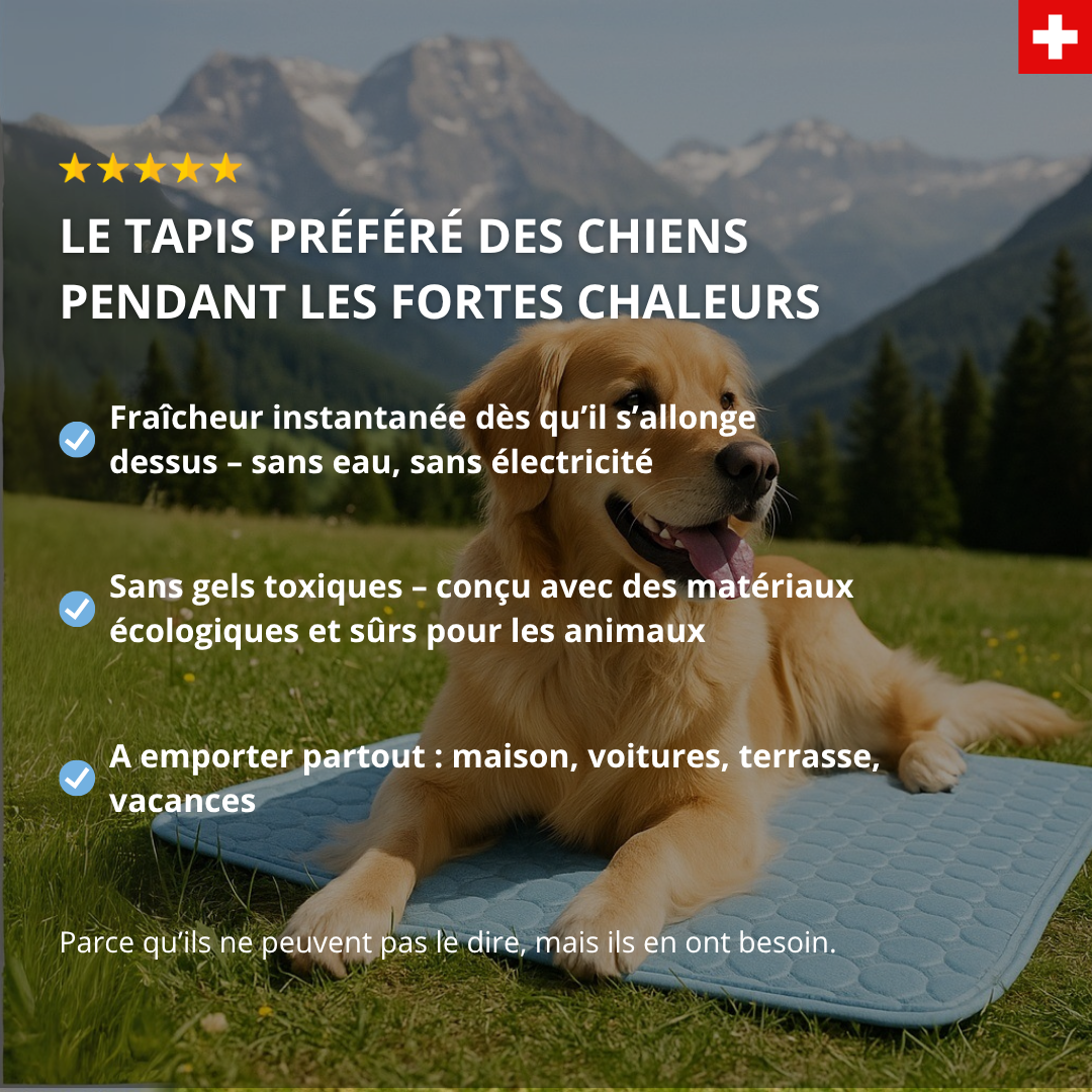 Tapis rafraîchissant - Waffeli