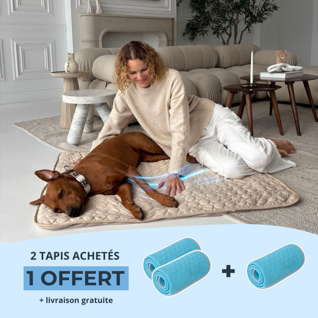 Tapis rafraîchissant - Waffeli