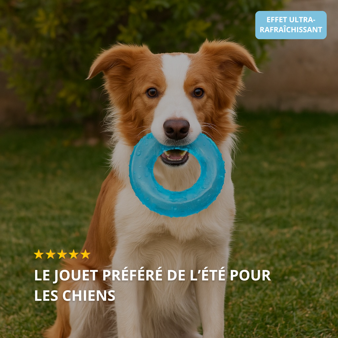 Jouet Glacé Waffeli