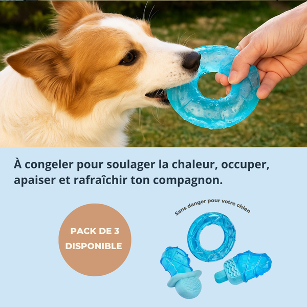 Jouet Glacé Waffeli