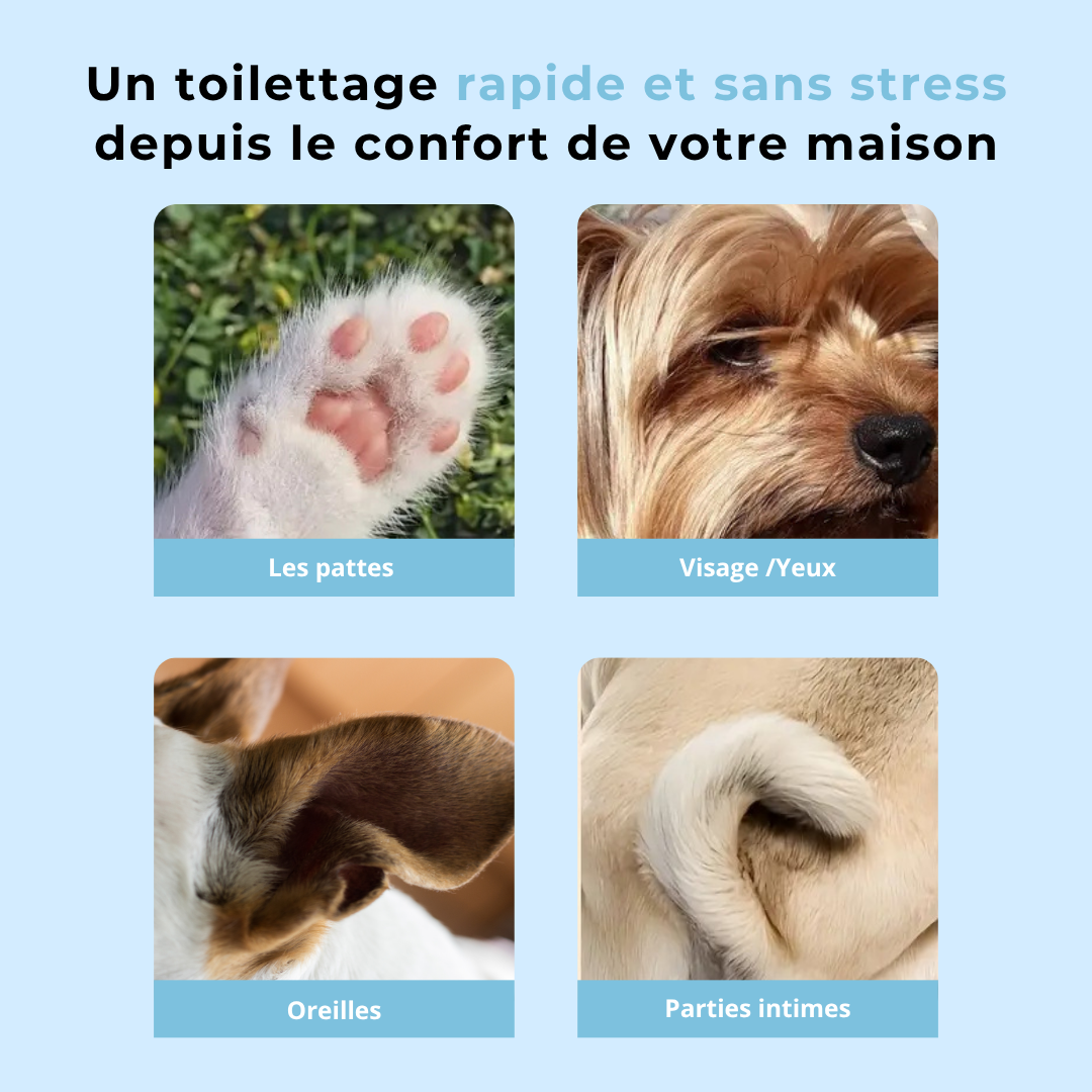 Tondeuse WaffeliTrim Pro™